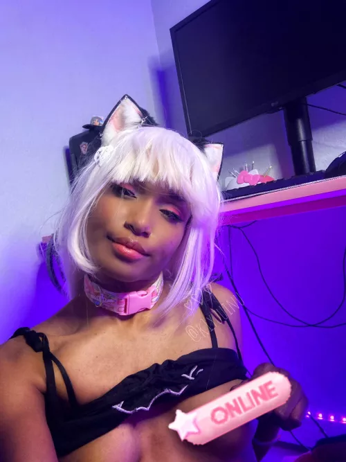 collared and cute :3