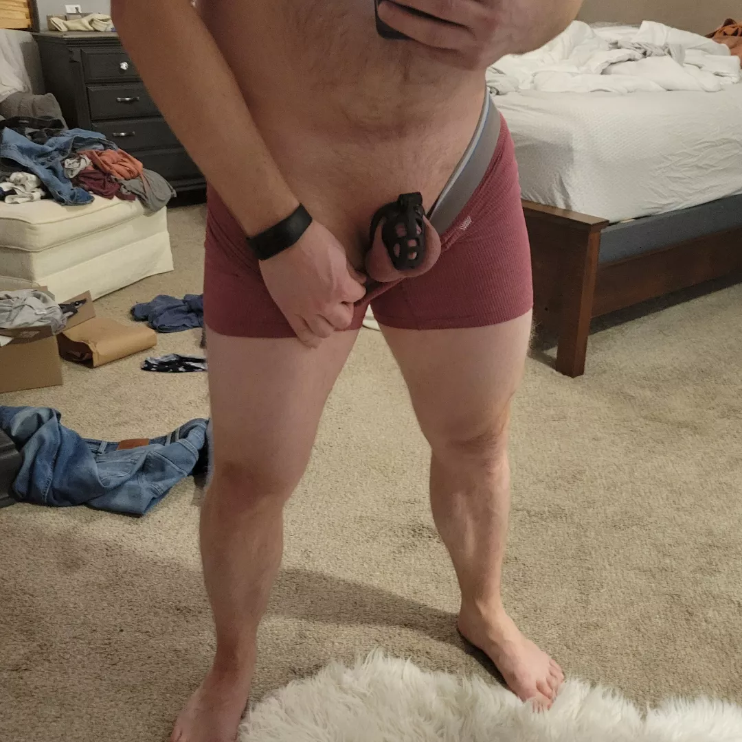 Definitely on the wild side for me