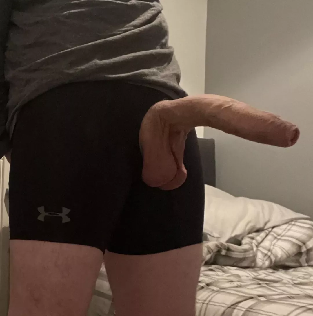 Do you like my cock?