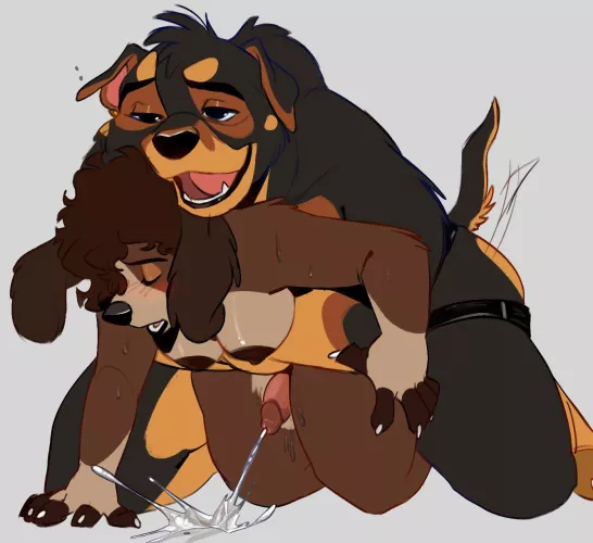 Empty out her balls (maltapuppy) [GA]