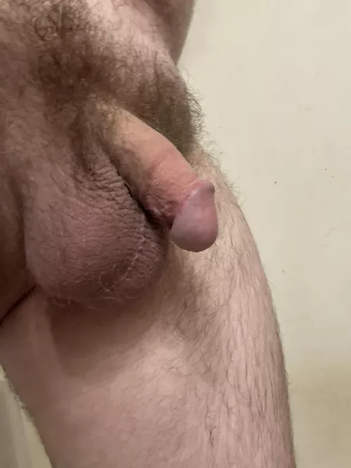 Fresh out of the shower. What y’all think?