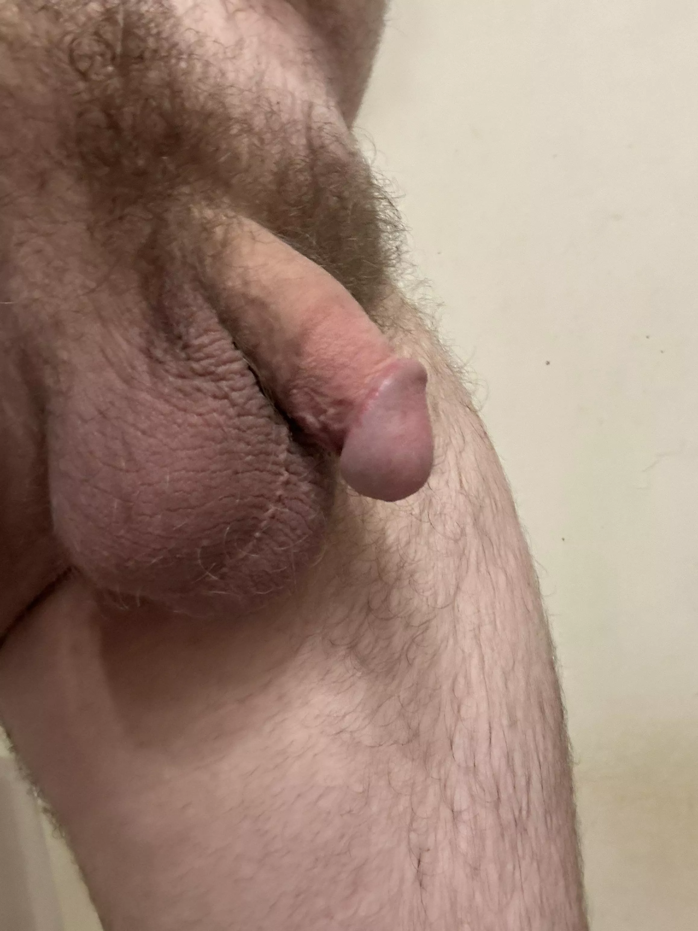 Fresh out of the shower. What y’all think?