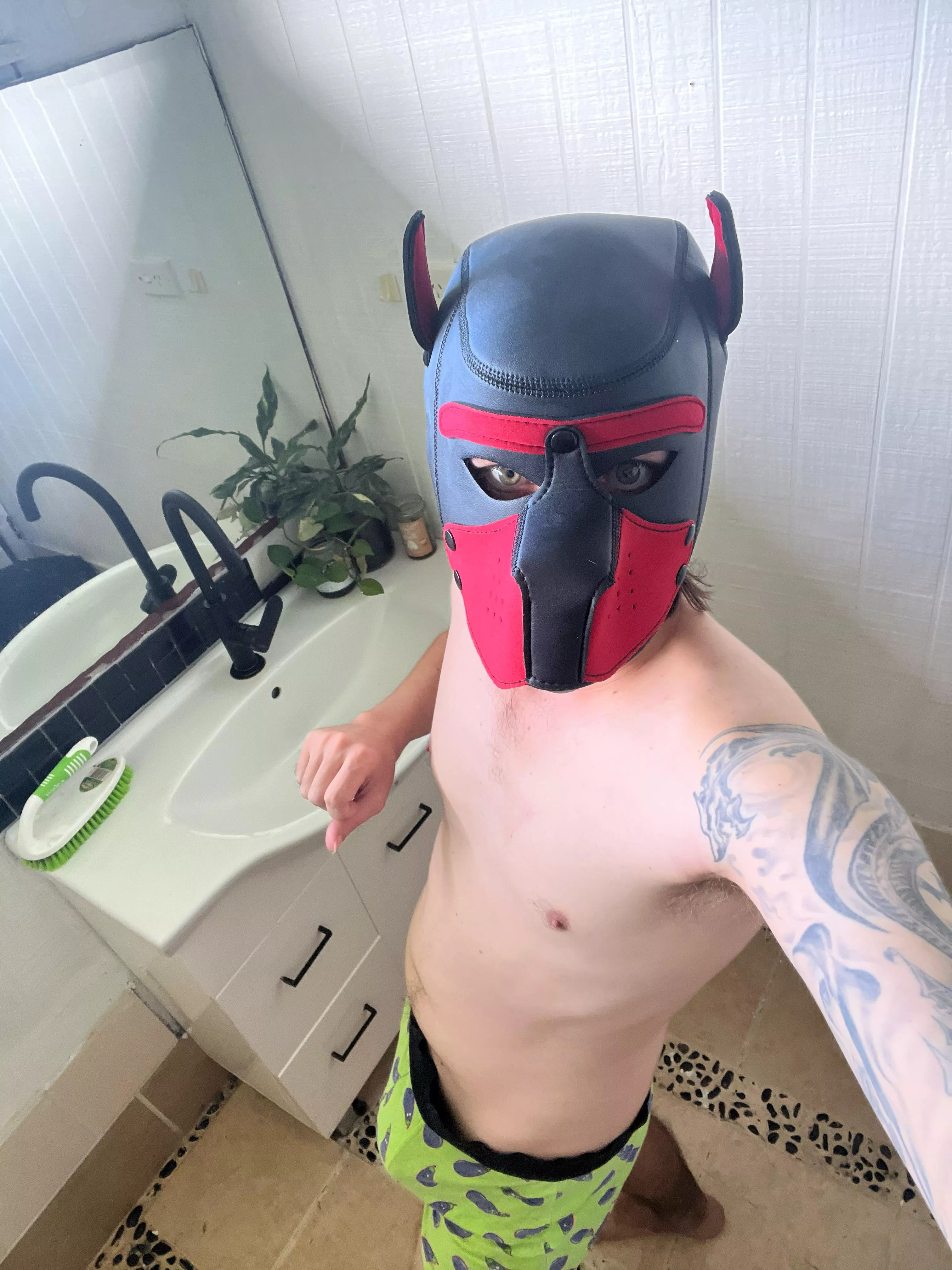 Getting ready for walkies