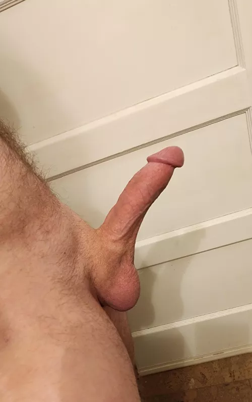 Hard and ready for sucking ;)