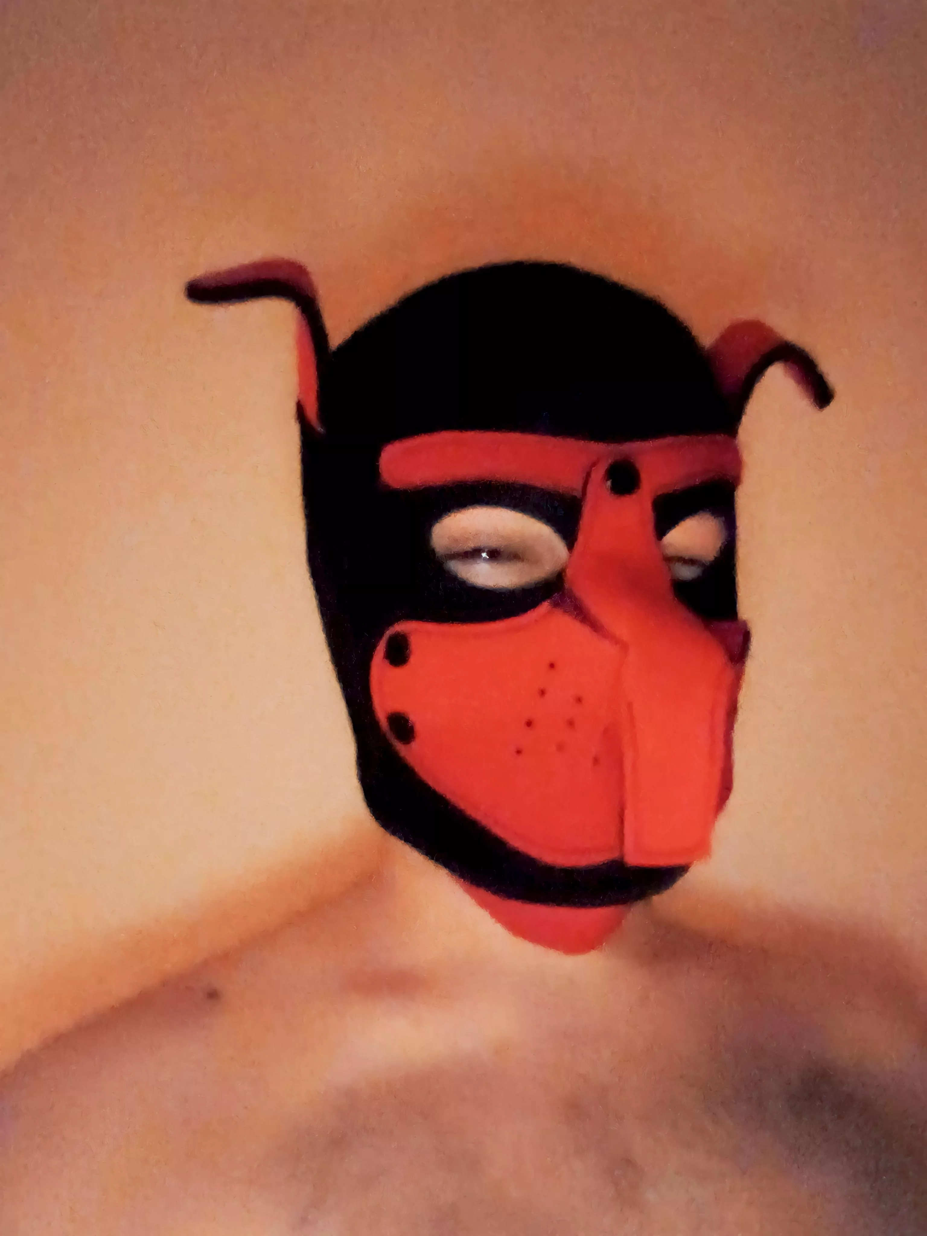 Hi guys. I'm looking for a new puppy friends 👉👈