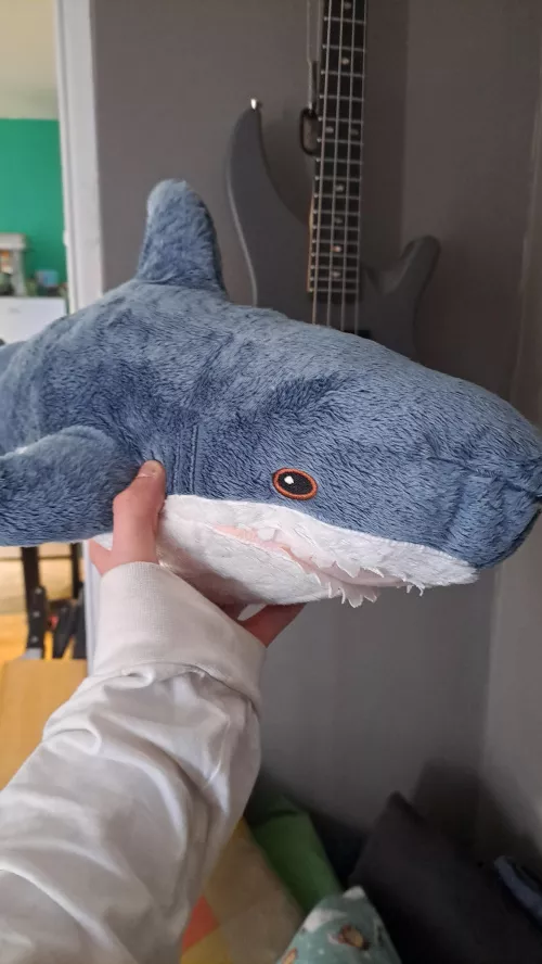 I finally got him!!!