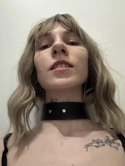 I love to be collared