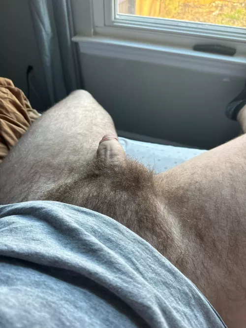 It’s time to shave huh?