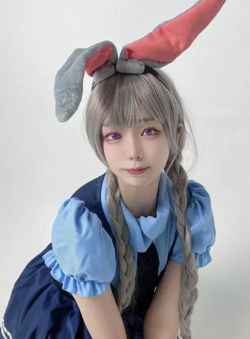 Judy Hopps from Zootopia