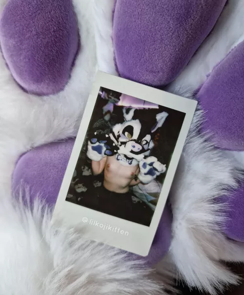 Just wanted to share this cute picture in my new fursuit! 💜