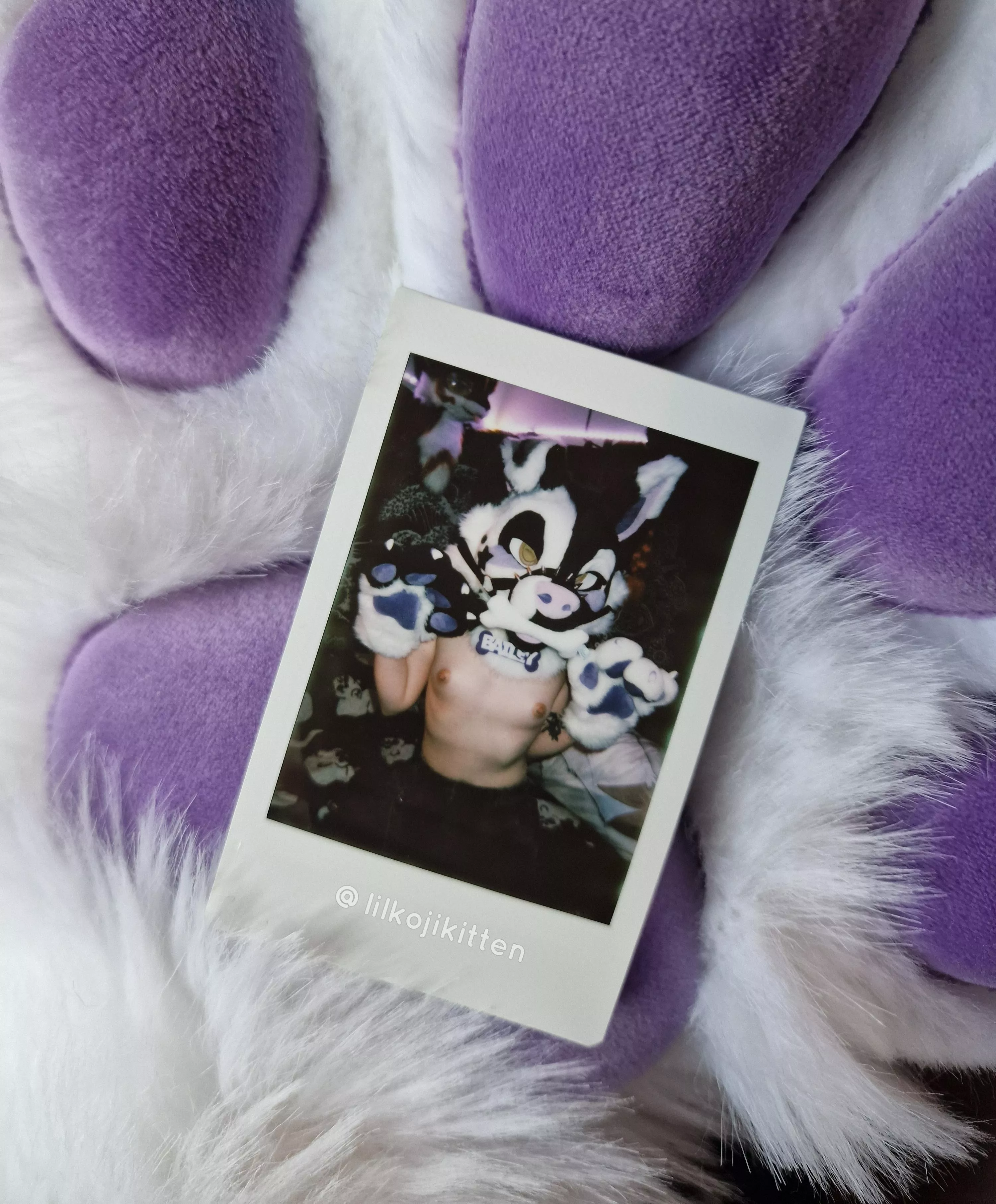 Just wanted to share this cute picture in my new fursuit! 💜
