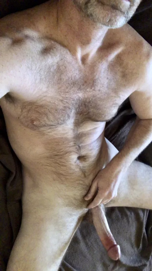 Looking for a 6ft5 hairy man?