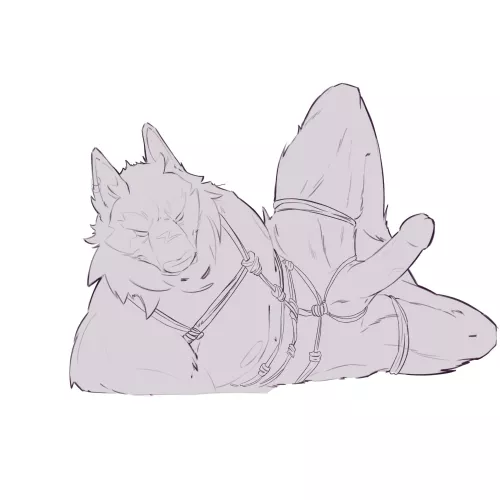 [M] Male Shibarii Wolf #wip (artwork done by me, Pinkfangsugar )