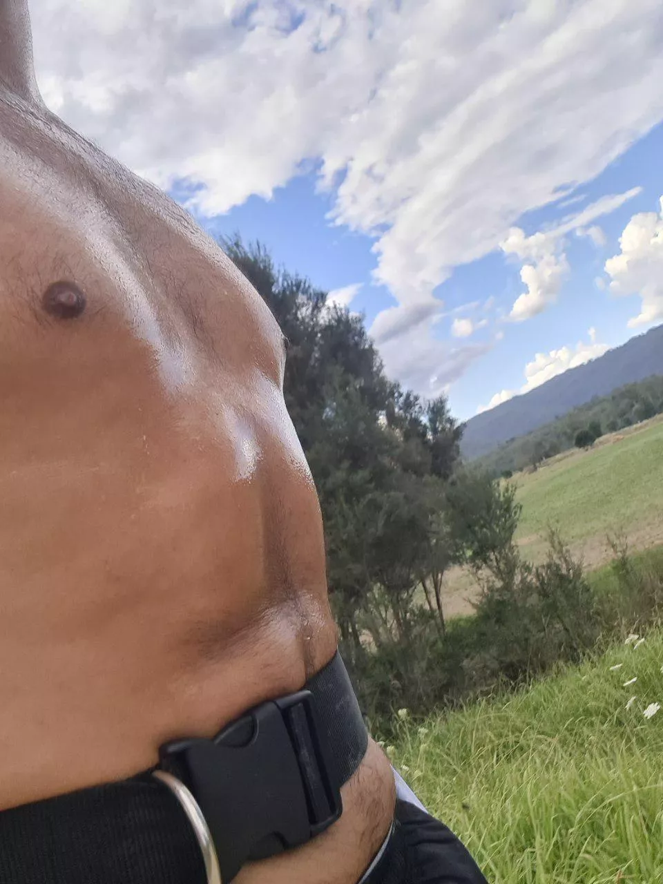  maybe it was a bit hot to take the dog for a run