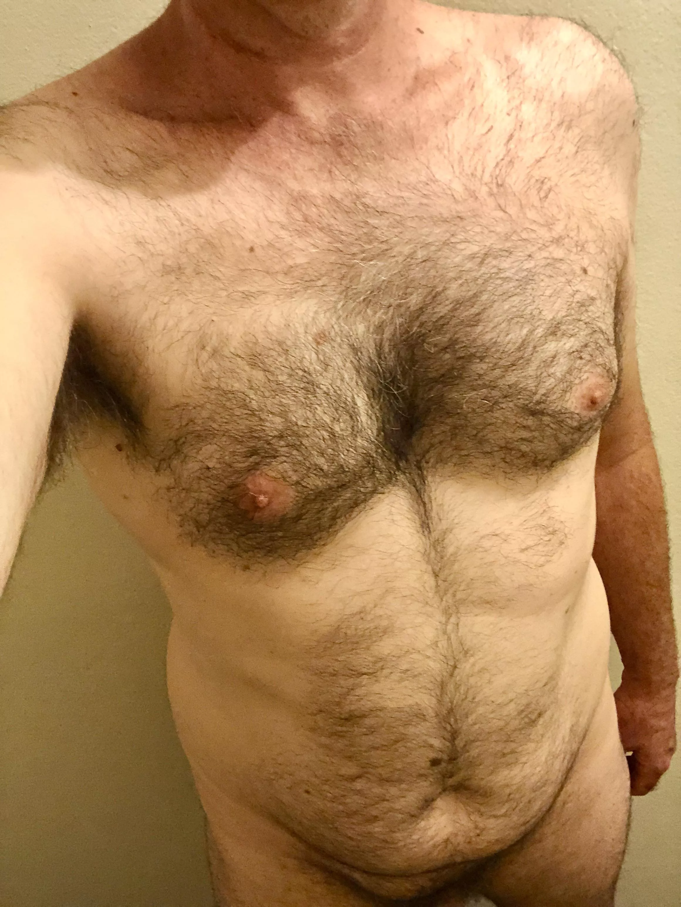 Older Aussie fur haven’t shaved in ages