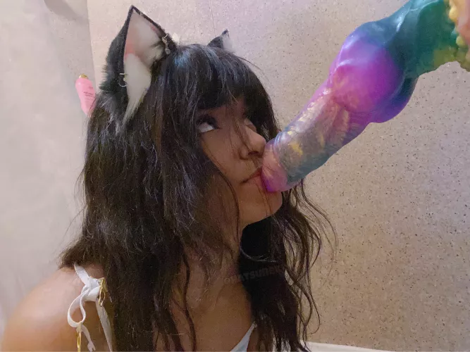 Pre breeding nuzzles :3