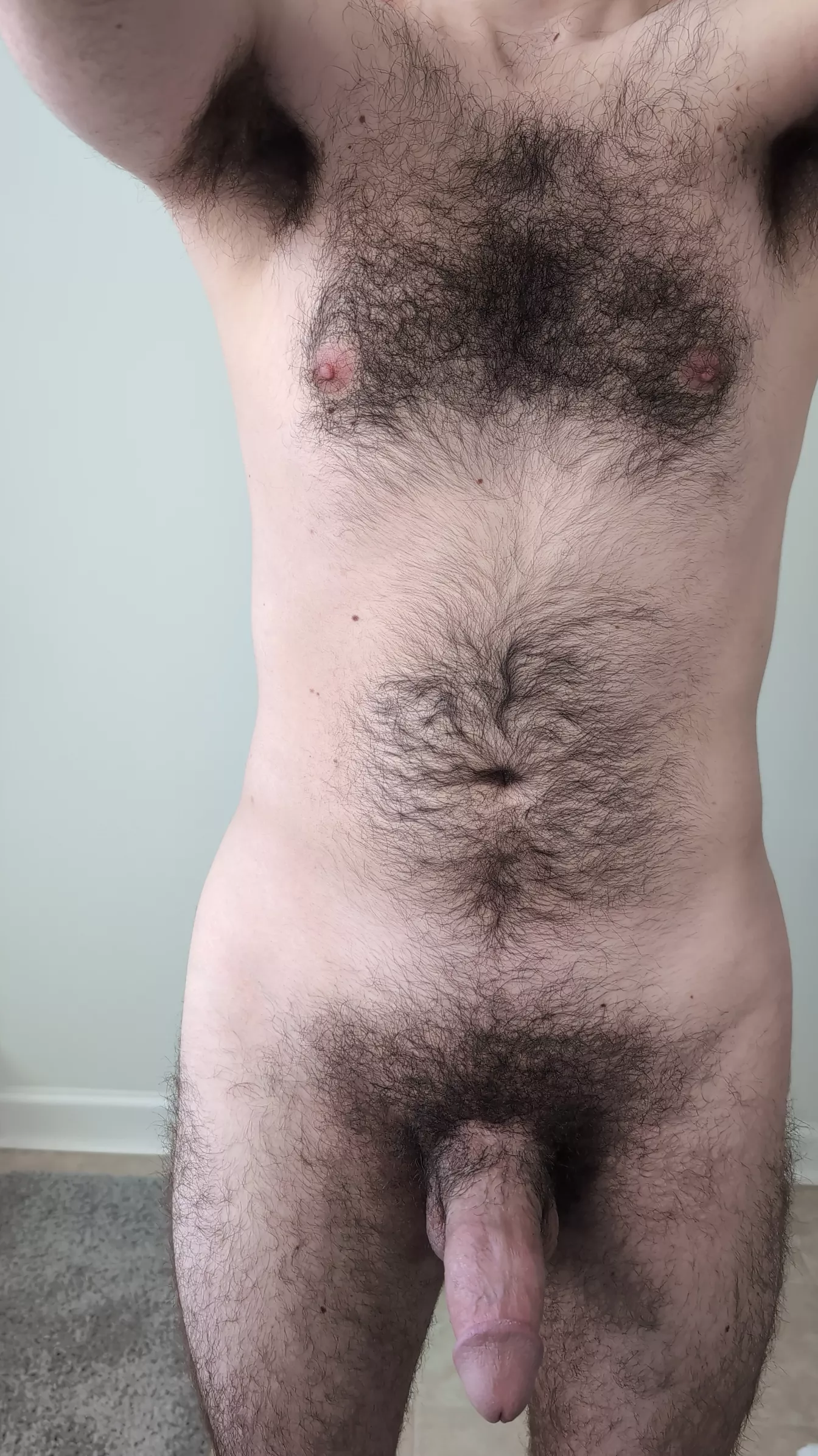 Showing off my chest hair and my cock