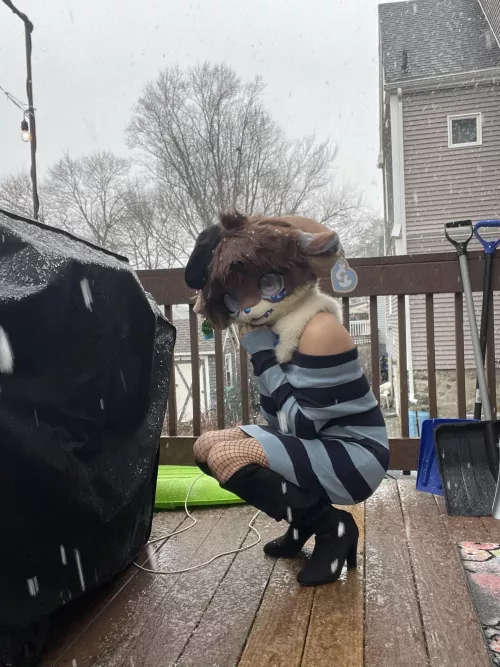 The snow looks so pretty