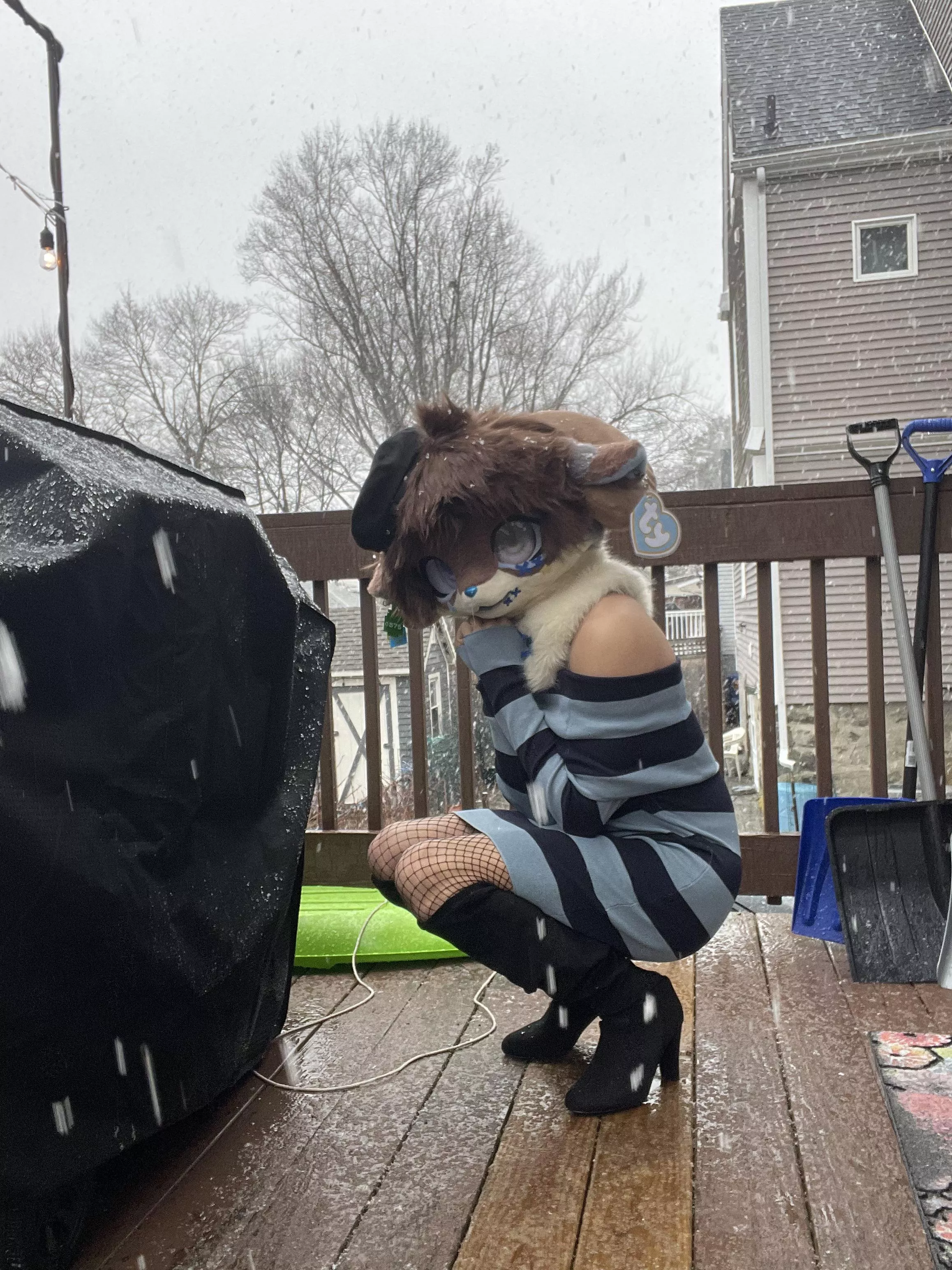 The snow looks so pretty