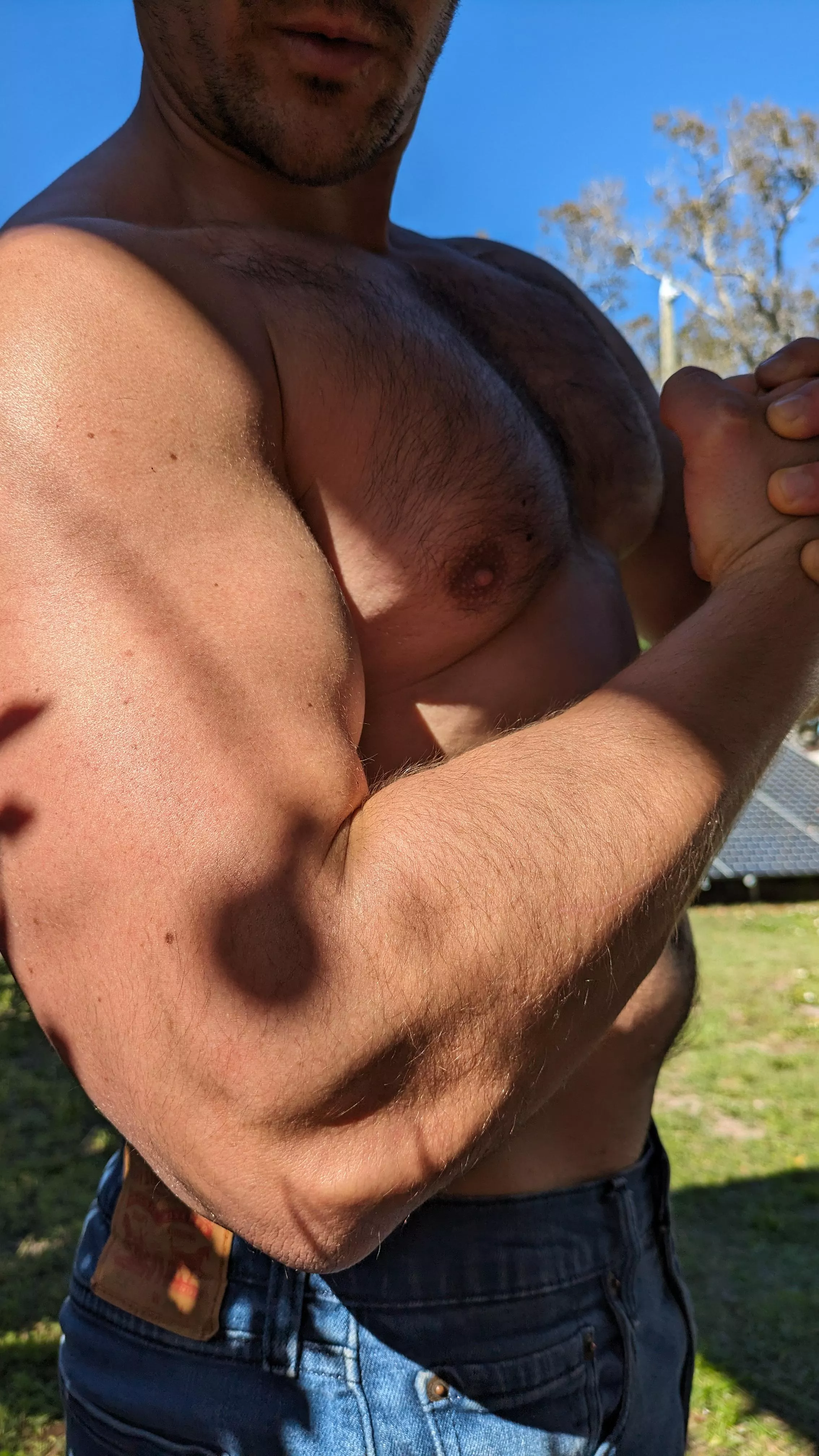 This enough chest hair?