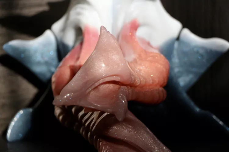 Thresher’s making me blush.. 🤭🦈