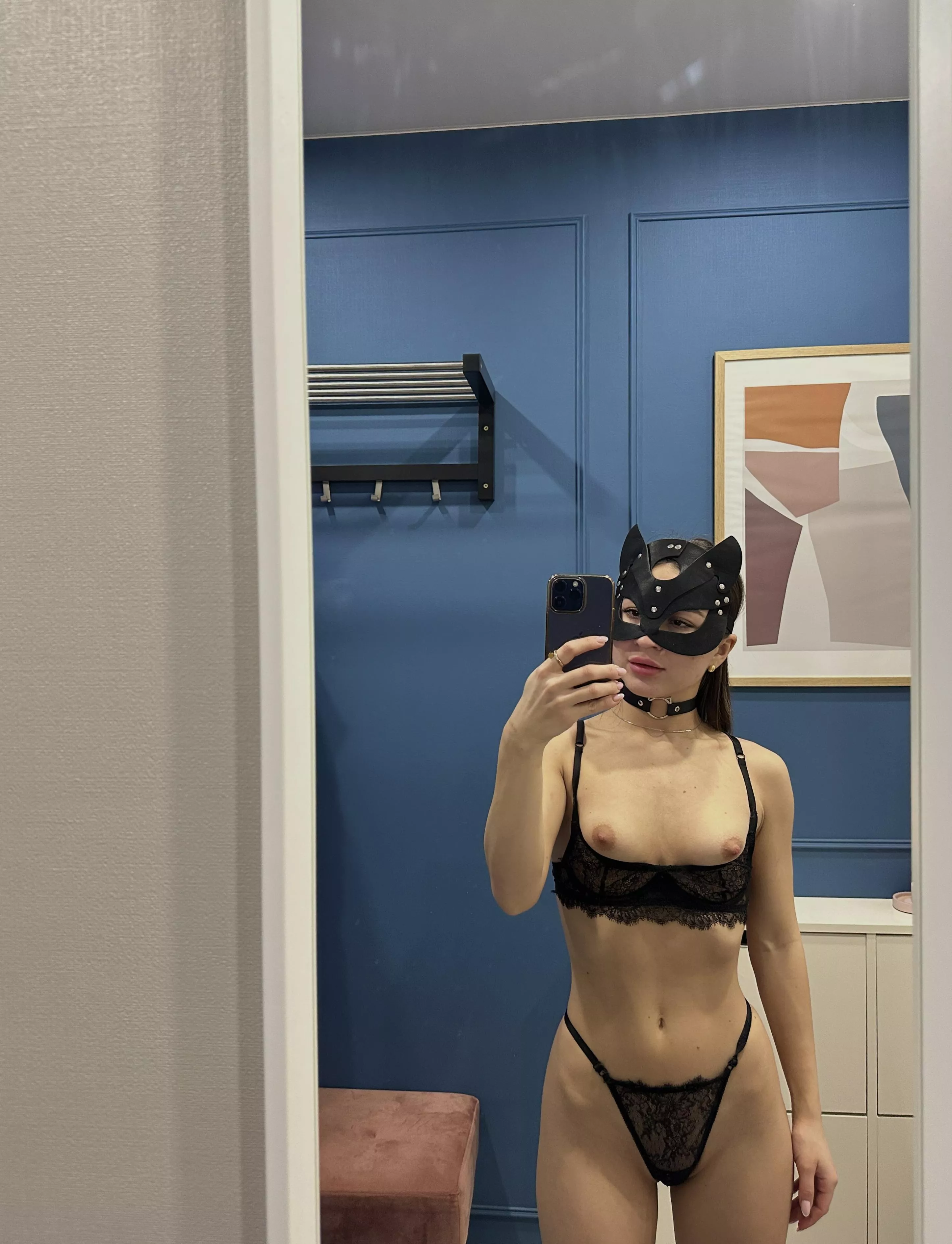 To purr or to scratch that is the question