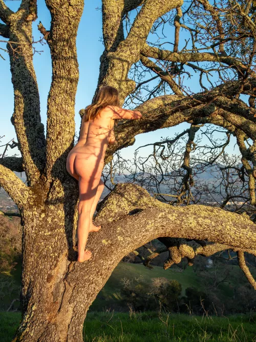 🌳Tree Pose Tuesday 🌳(more in comments)