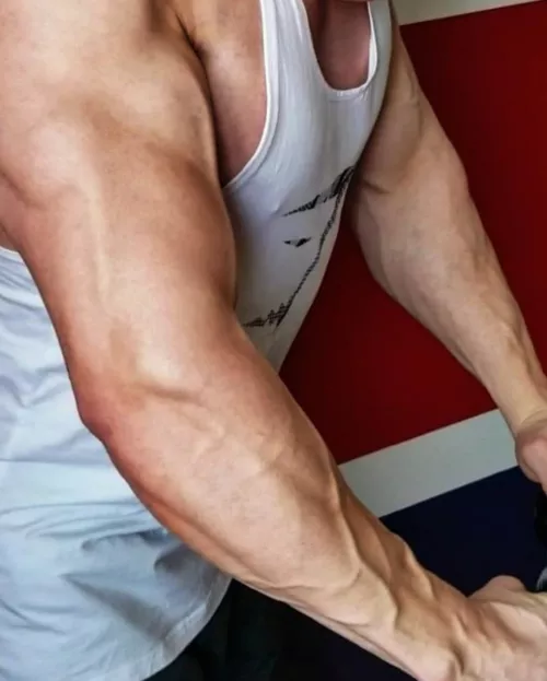 V E I N S 💪🏼😈🔥