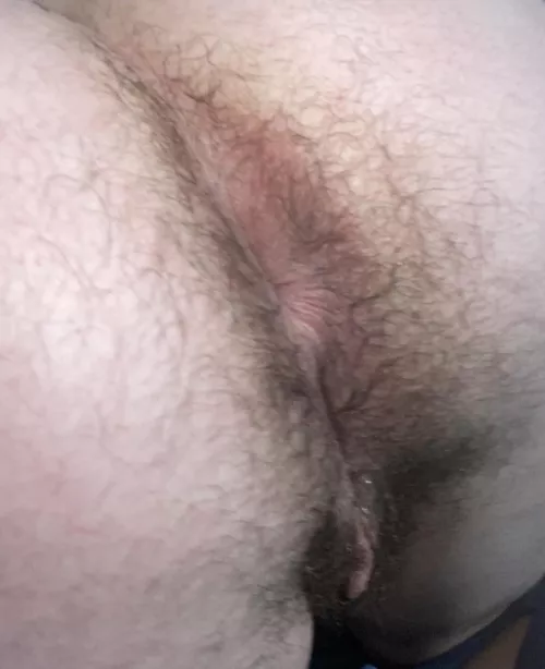 Want to breed a trans boy?