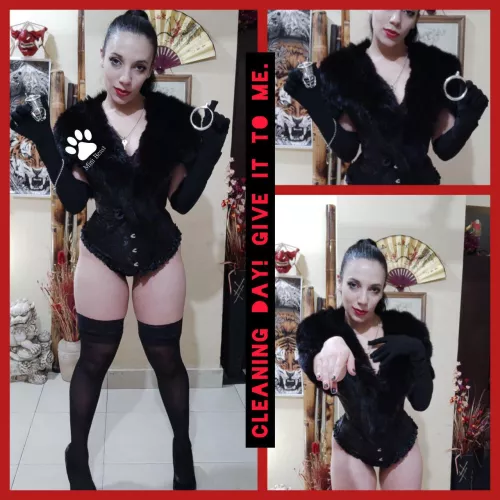 When was the last time you completely and thoroughly washed your cage? Do it today! Cleanliness and hygiene = discipline.