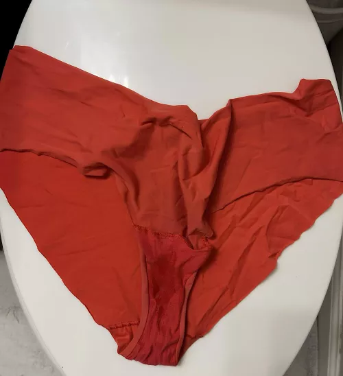 Wife’s granny panties