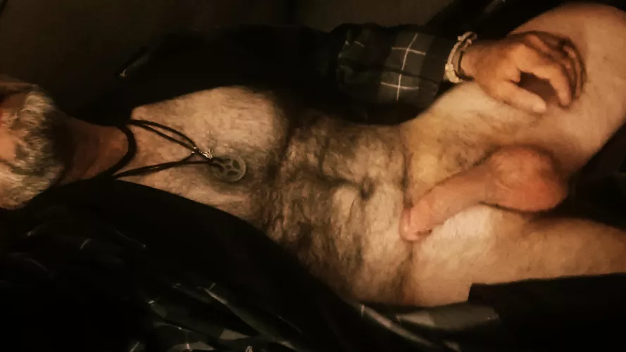 [53] If I was your neighbor, wwyd?