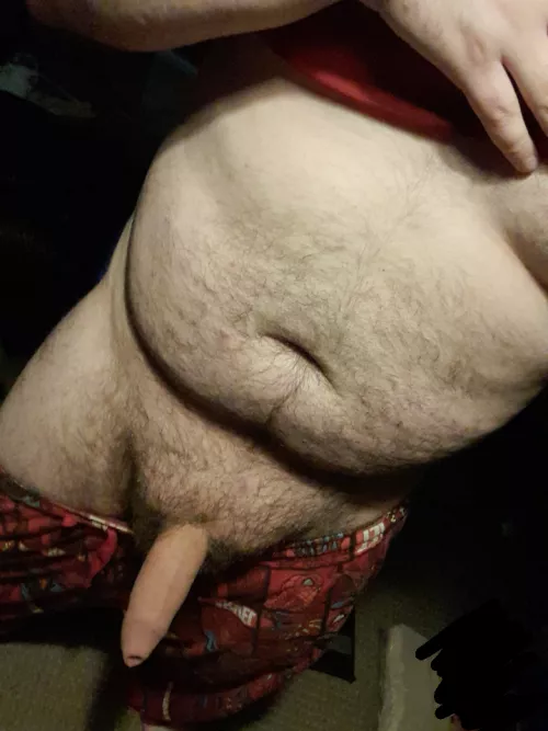 Am I to chubby for you're liking?