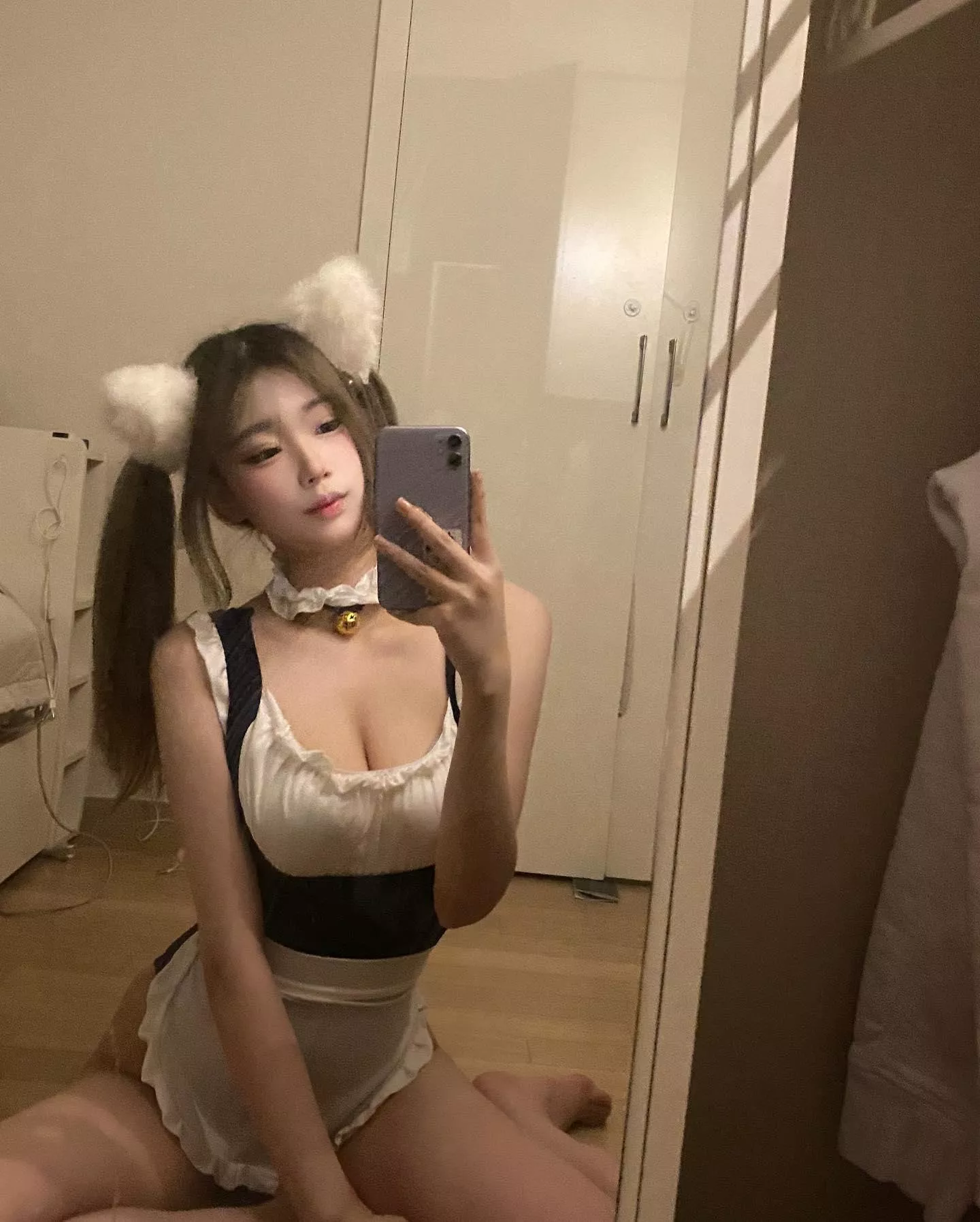 Anyone wants to adopt a cat?