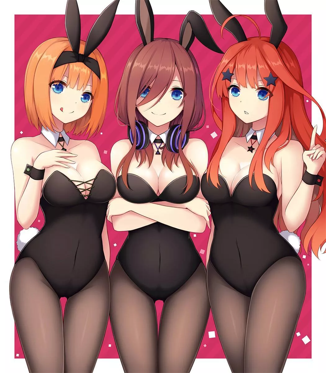 Bunny Quints