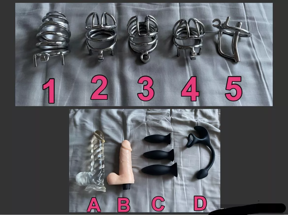 Choose a cage and which toy I should play with