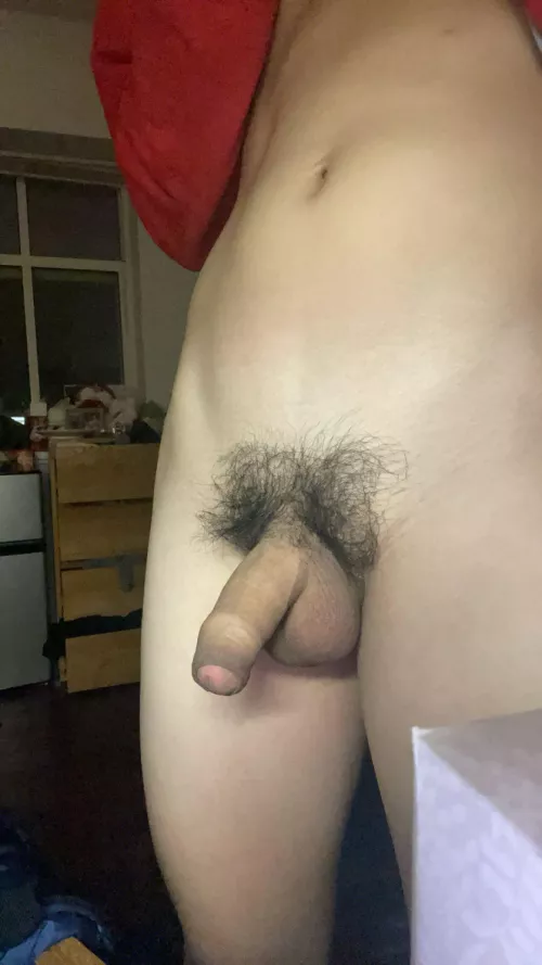 Come help pull it back