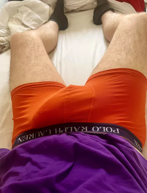 Come on boy it doesn’t bite