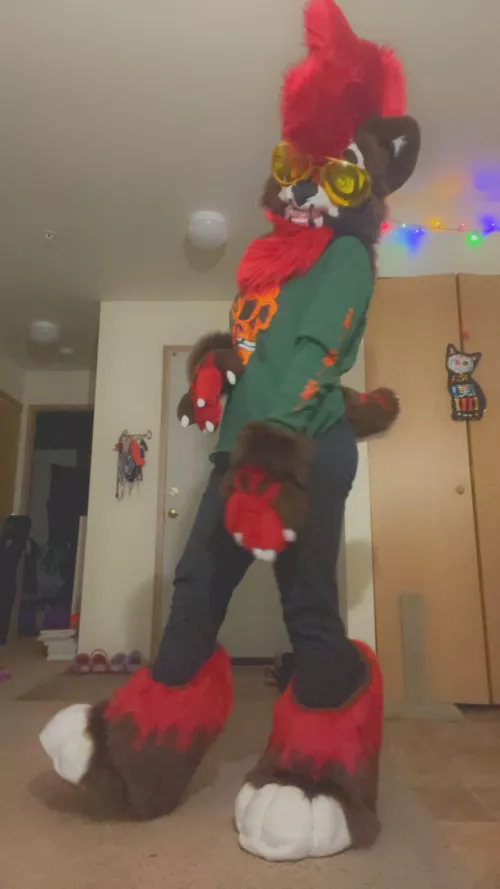 comment assumptions abt my sona based on his appearance!