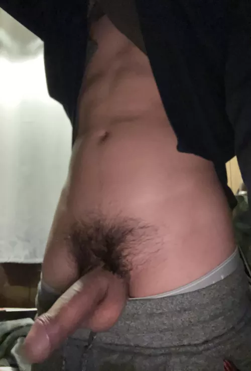 Does my bush look good or should I shave