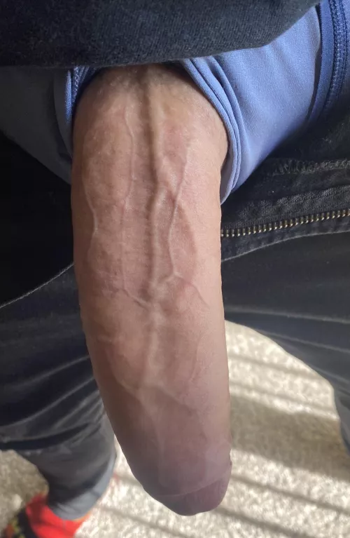 First post…not sure if I belong 