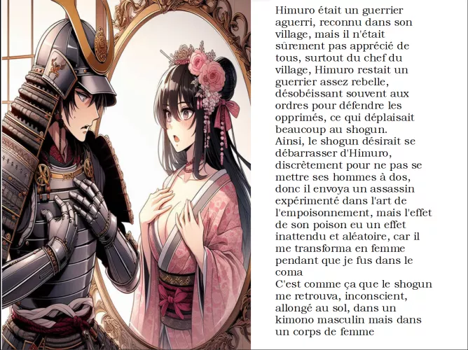 French Caption (art by TheMirrorsOtherSide, story made by myself)