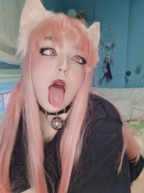 Good or naughty kitty?