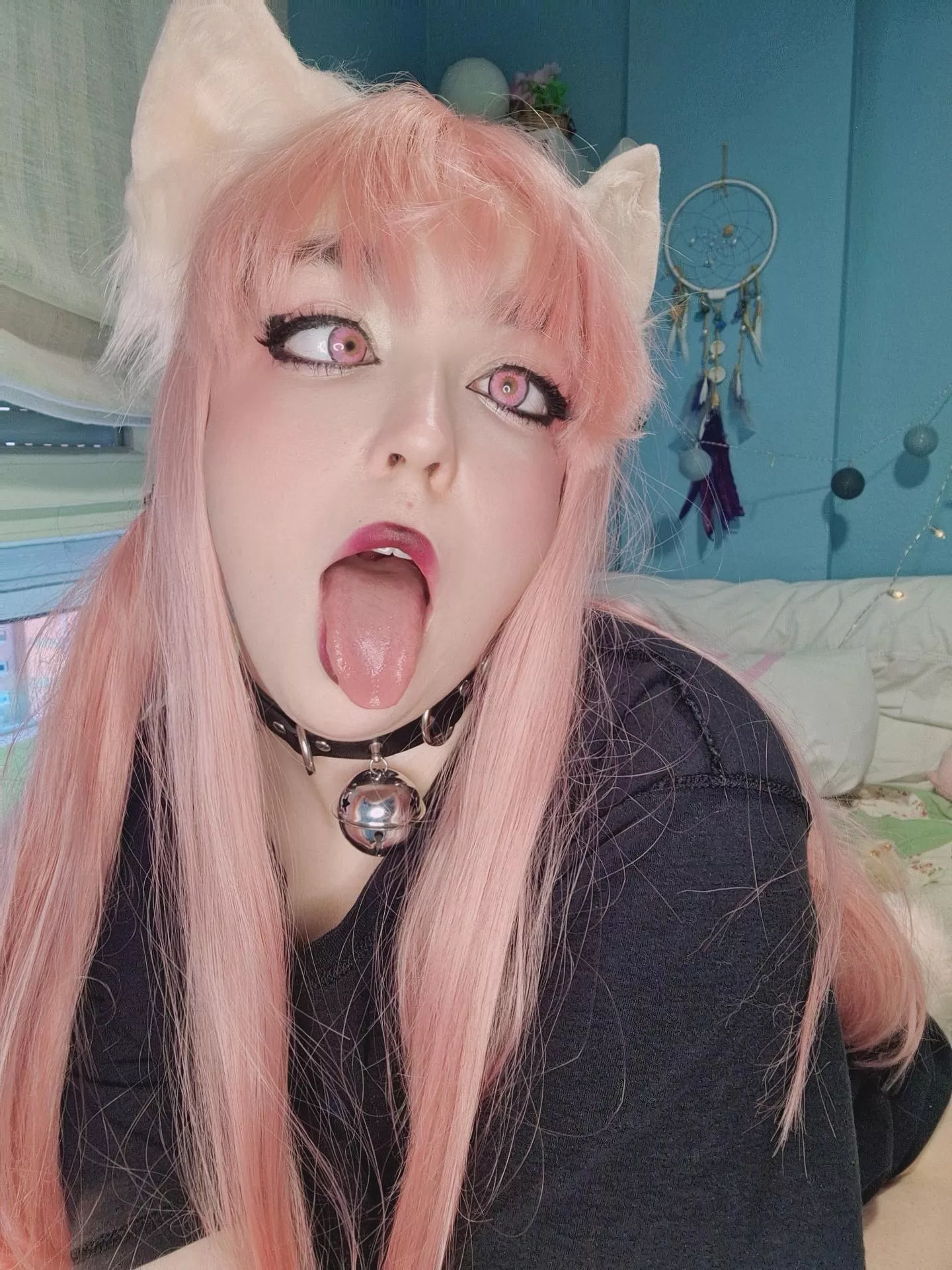 Good or naughty kitty?