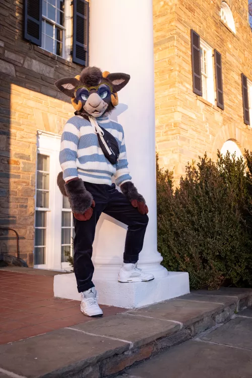 how do goats put on sweaters without tearing them