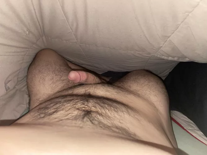 How’s my boy cock look?