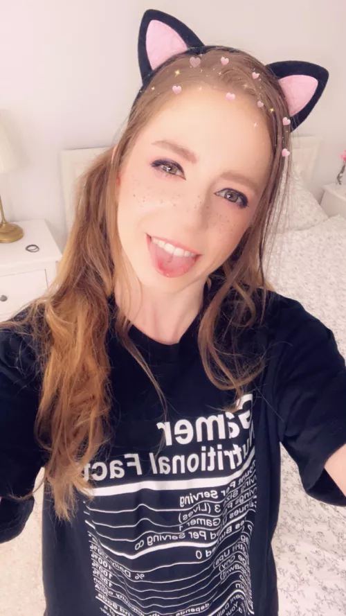 i found this ‘gamer’ kitty out in the wild, what should i do with it?!? 