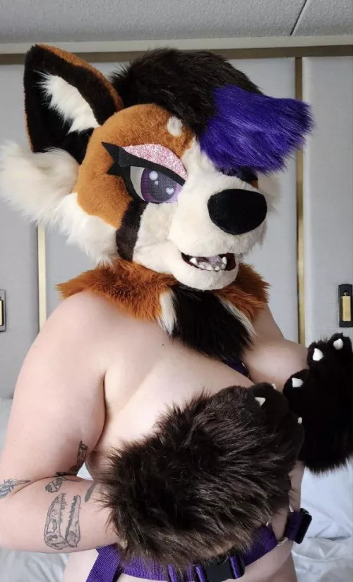 If you ask nicely I might move my paws 😘