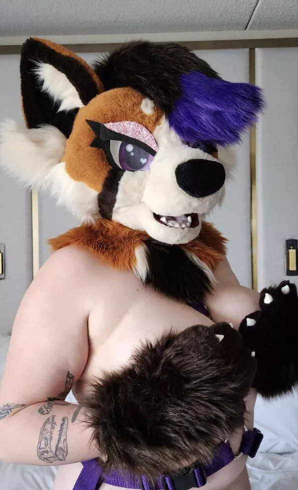 If you ask nicely I might move my paws 😘