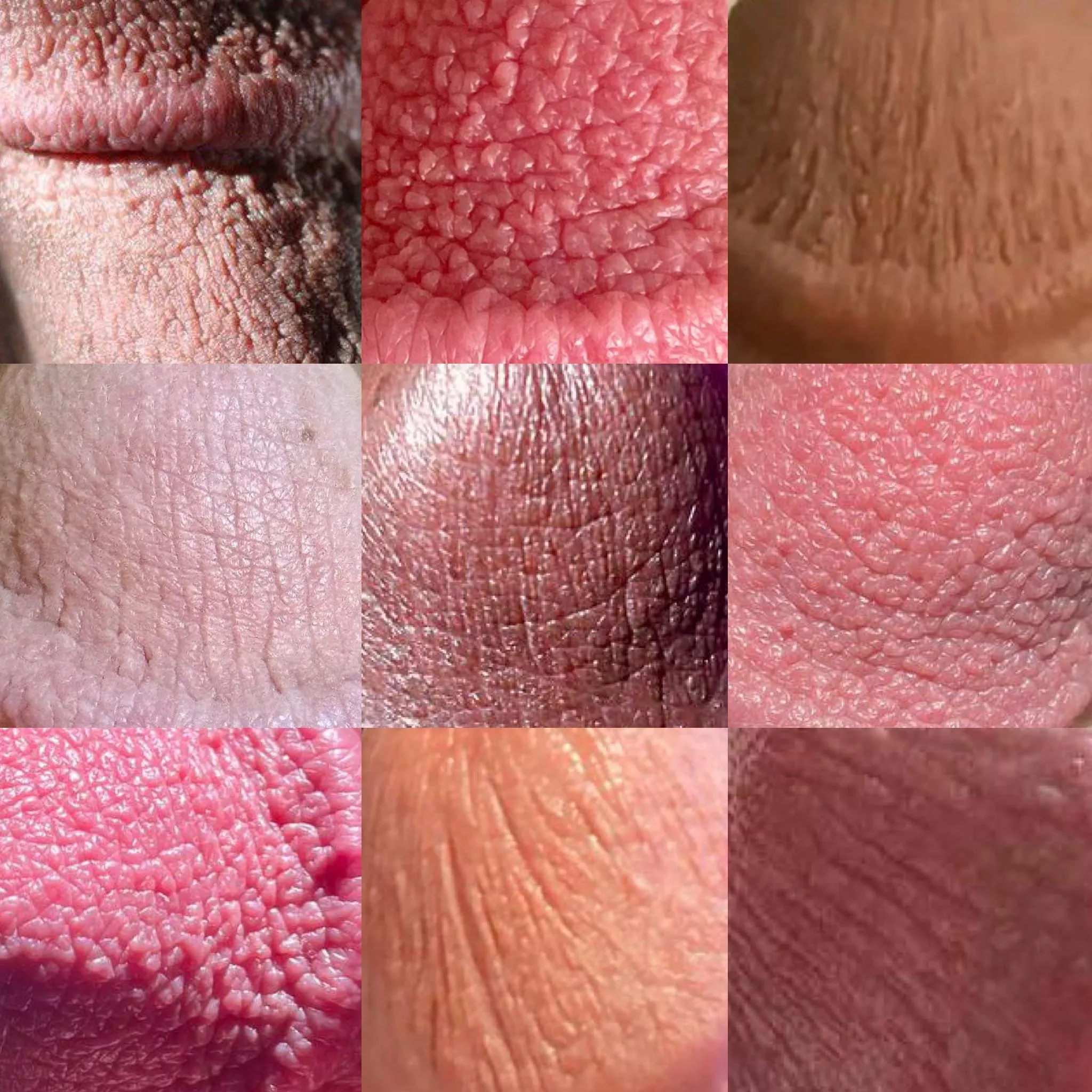 I’m creating a collage of various cut cock glans textures. Hoping to create a 9x9 grid at least. Dm me if you want to be added to the cut quilt!